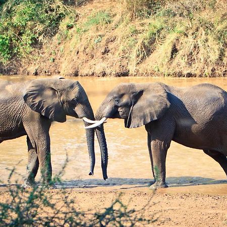 Hotel Mtomeni Safari Camp Phalaborwa Exteriér fotografie