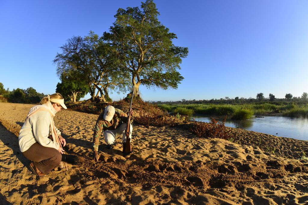 Hotel Mtomeni Safari Camp Phalaborwa Exteriér fotografie