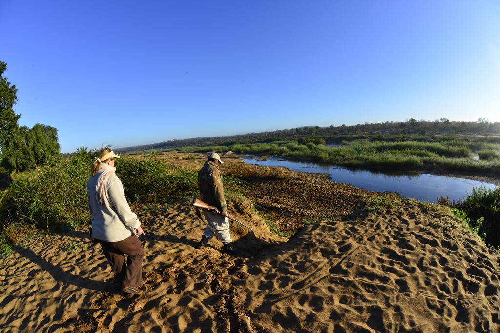 Hotel Mtomeni Safari Camp Phalaborwa Exteriér fotografie