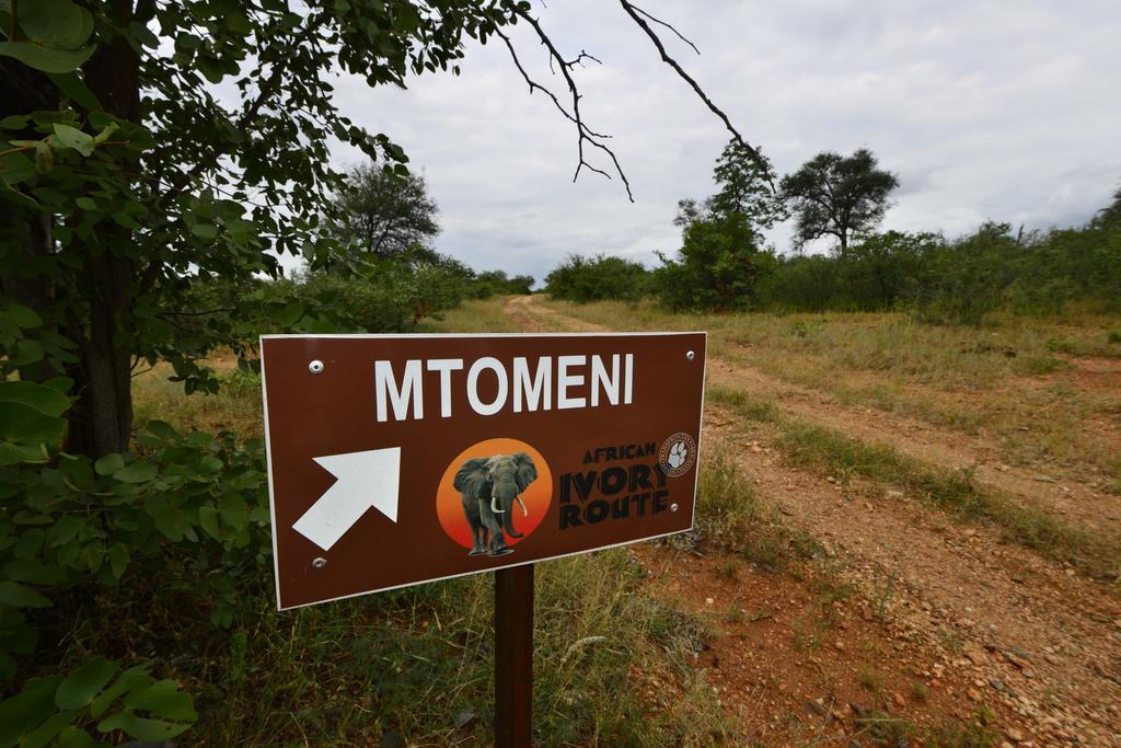 Hotel Mtomeni Safari Camp Phalaborwa Exteriér fotografie