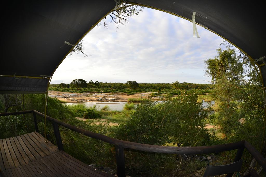 Hotel Mtomeni Safari Camp Phalaborwa Exteriér fotografie