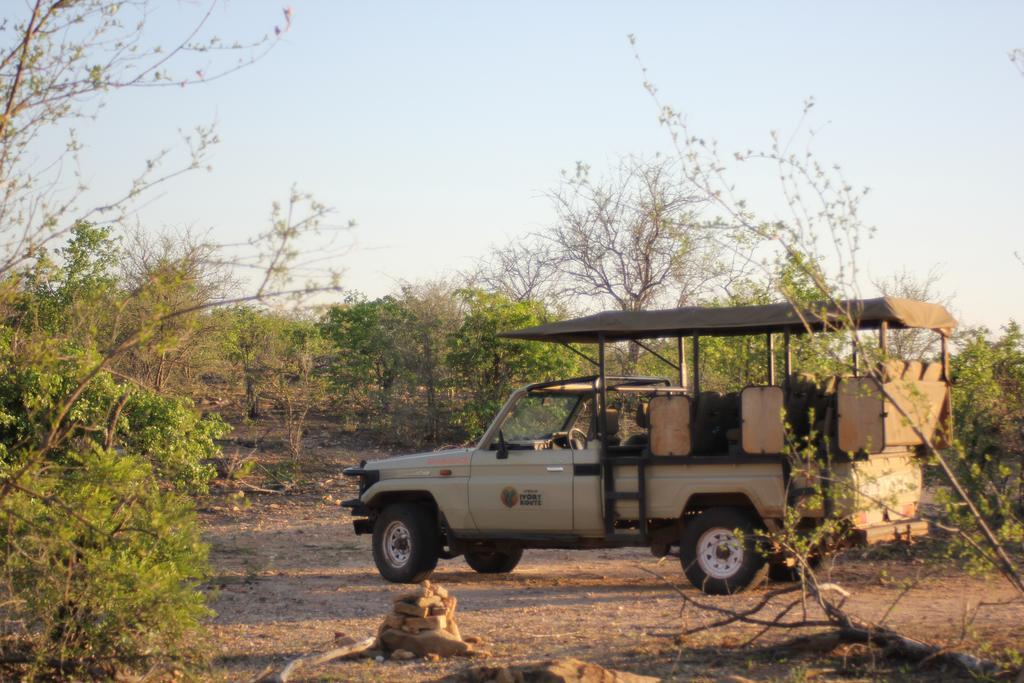 Hotel Mtomeni Safari Camp Phalaborwa Exteriér fotografie