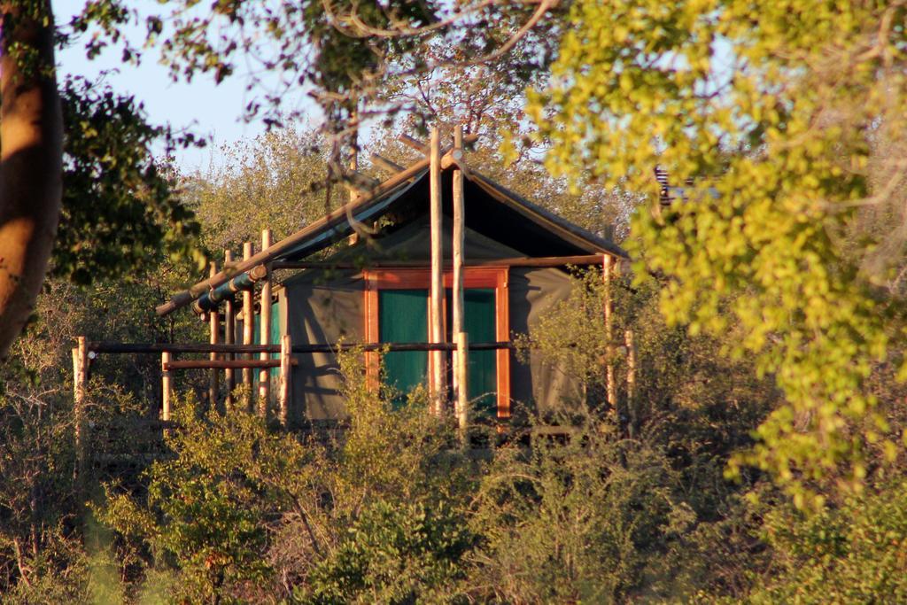 Hotel Mtomeni Safari Camp Phalaborwa Exteriér fotografie